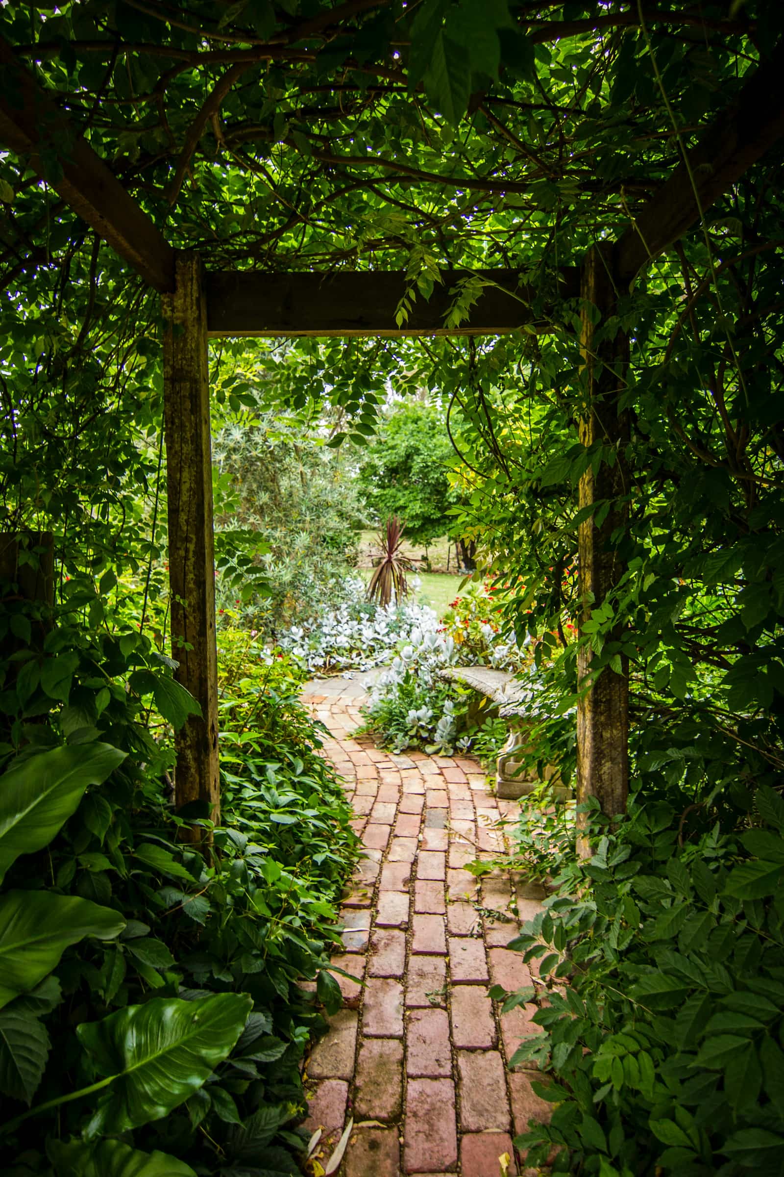 Brick path under a wisteria arbor